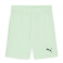 Puma Team Goal Shorts