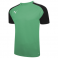 Puma Team Pacer Jersey