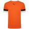 Puma Team Rise Jersey