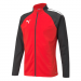Puma Team Liga Training Jacket