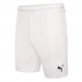 Puma Team Rise  Football Short