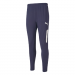 Puma Team Liga Training Pants Pro
