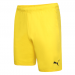 Puma Team Rise  Football Short