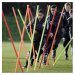 Precision Boundary Poles 1.7m