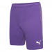 Puma Team Rise  Football Short