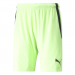 Puma Team Liga Football Short