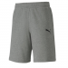 Puma Team Goal Casuals Shorts