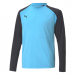 Puma Team Pacer Goalkeeper Shirt
