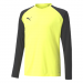 Puma Team Pacer Goalkeeper Shirt