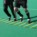 Precision Adjustable Speed Ladder