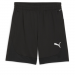 Puma Team Final Training Shorts