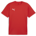 Puma Team Goal Jersey