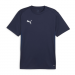 Puma Team Goal Jersey