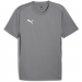 Puma Team Goal Jersey