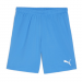 Puma Team Goal Shorts