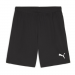 Puma Team Goal Shorts