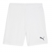 Puma Team Goal Shorts