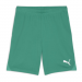 Puma Team Goal Shorts