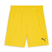 Puma Team Goal Shorts