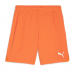 Puma Team Goal Shorts