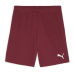 Puma Team Goal Shorts