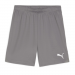 Puma Team Goal Shorts