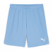 Puma Team Goal Shorts