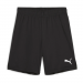 Puma Team Goal Shorts