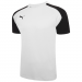 Puma Team Pacer Jersey