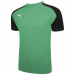 Puma Team Pacer Jersey