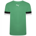 Puma Team Rise Jersey
