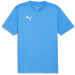 Puma Team Final Training Jersey