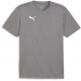 Puma Team Final Training Jersey