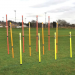 Precision Telescopic Boundary Poles